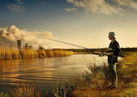 لماذا نحلم صيد السمك؟
