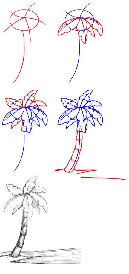 كيفية رسم شجرة النخيل