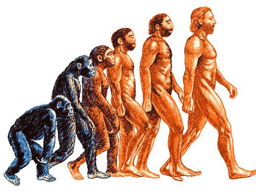 ما هو التطور؟